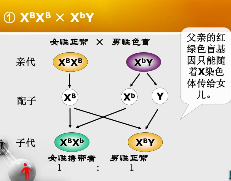 8199519e9deb6ba5823ca3e0a77e00d8.png 8199519e9deb6ba5823ca3e0a77e00d8.png