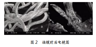 e7a6e824bf533031296215a1b4945234.png