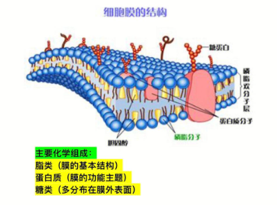 3540c32acfd116600eaa5517daeacc89.png
