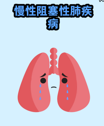 b55c5936cae300d89d8960c40a6c457b.png